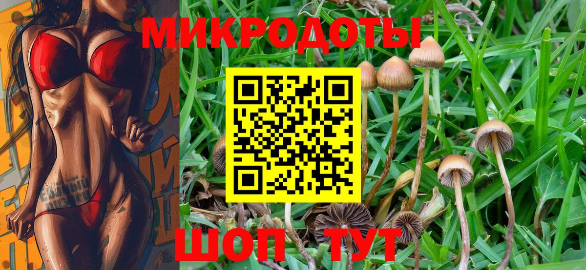 купить   Галлюциногенные грибы мицелий  Вход с VPN  Переславль-Залесский  Псилоцибиновые грибы Psilocybe 