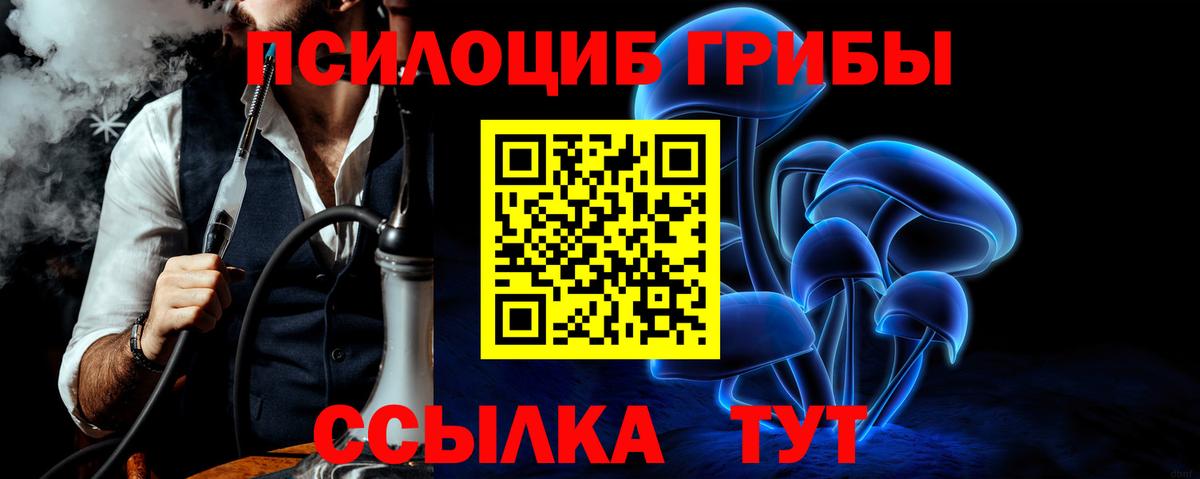 Галлюциногенные грибы мухоморы Переславль-Залесский